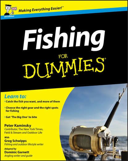 Peter  Kaminsky Fishing For Dummies