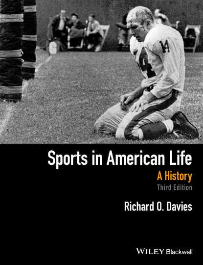 Richard O. Davies Sports in American Life