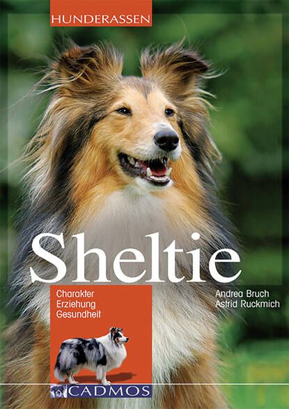 Andrea Bruch Sheltie