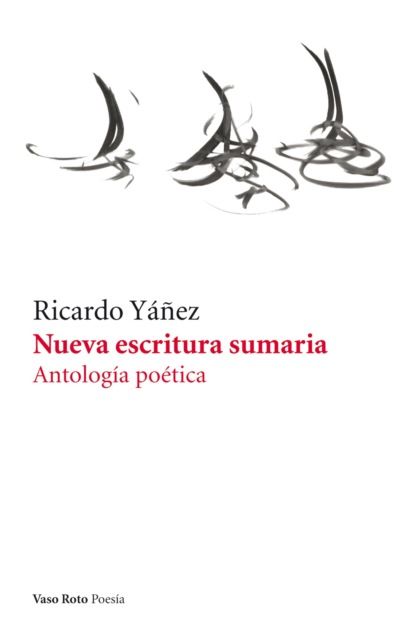 Ricardo Y??ez Nueva escritura sumaria