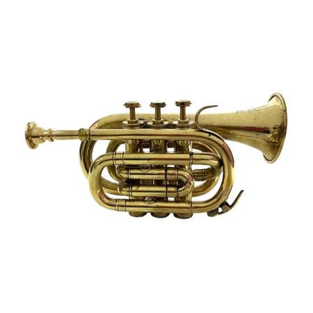 Морская труба с хромированной отделкой / Латунная карманная труба / Мундштук из горна / 3 значения рожка / Для подарка