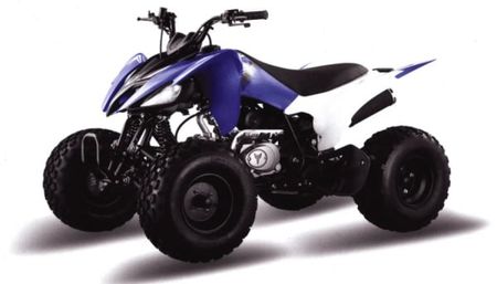 Квадроцикл MOTOLAND 150S