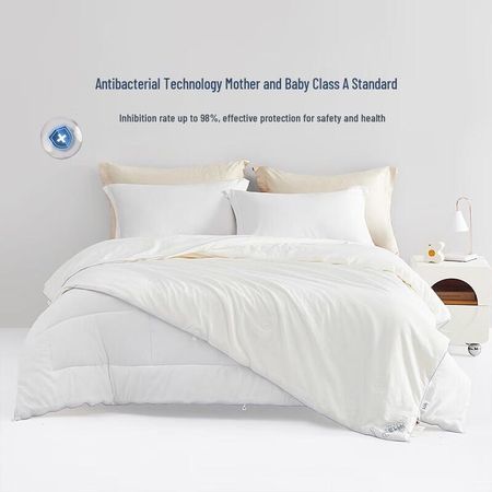 Mercury Home Textiles Silk Duvet