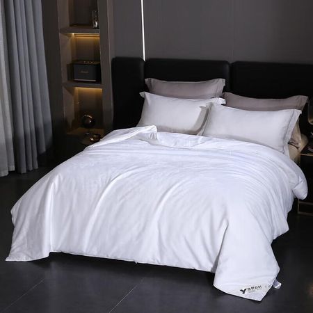 Jiangnan Handmade Mulberry Silk Quilt