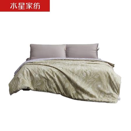 Mercury Home Textiles DH Exquisite Selection Tussah Silk Quilt
