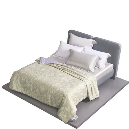 Mercury Home DH Exquisite Selection Mulberry Silk Quilt