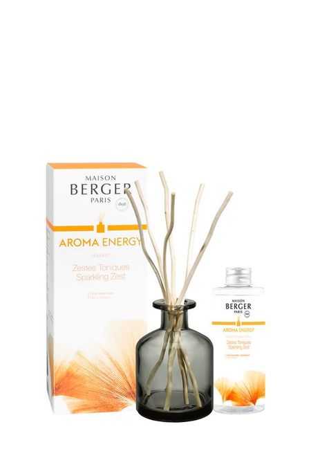 аромадиффузор Maison Berger Paris