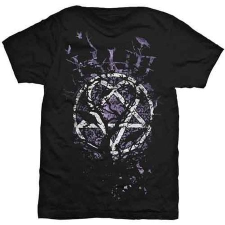 Он - Вороны (Футболка) 4XL
