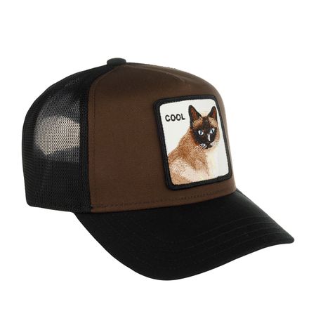 BROWN BLACK KIND CAT
