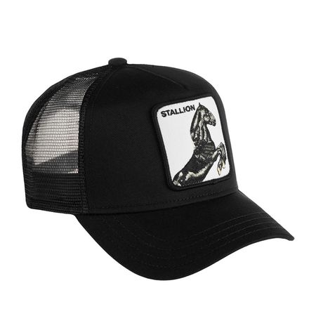 BLACK STALLION