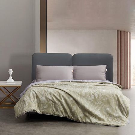 Mercury Home Zhencui Selection Tussah Silk Double Quilt