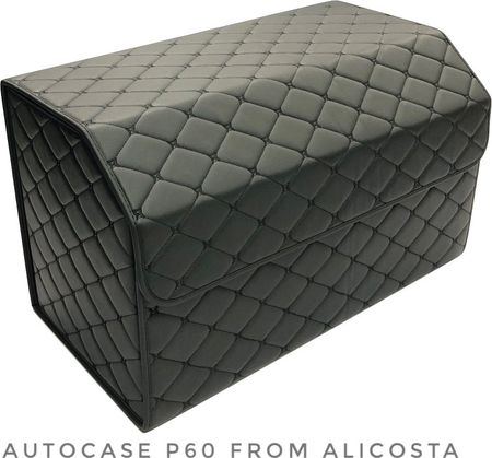 Органайзер автомобильный Alicosta P60 (экокожа, черный)