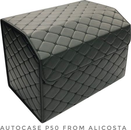 Органайзер автомобильный Alicosta P50 (экокожа, черный)