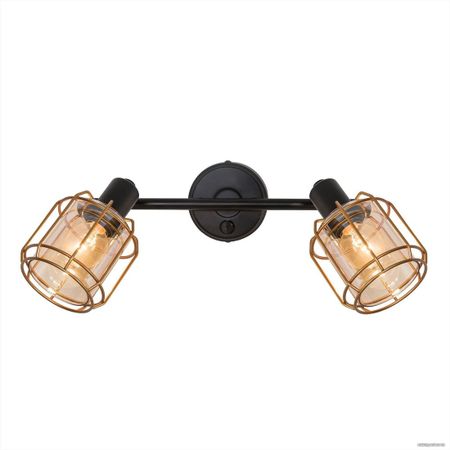 Спот Citilux CL542622