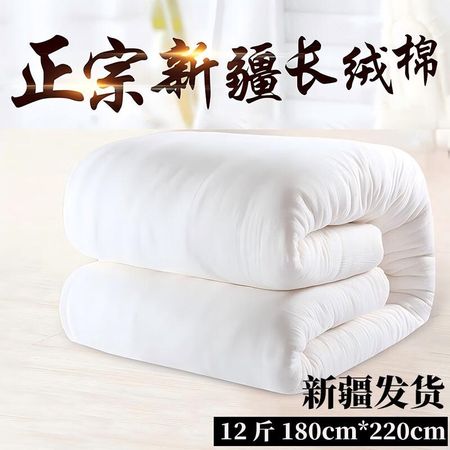 Pure Cotton Comforter & Mattress Pad Pure Cotton