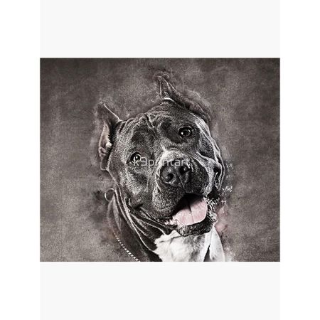 Tapestry American Staffordshire Terrier Amstaff 75x100 чёрный