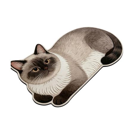 Foldable Washable Diatom Absorbent Doormat Anti Slip Entrance Rug  Household Daily Decoration 6