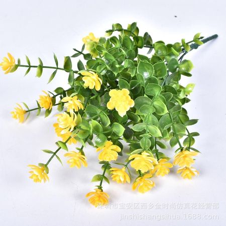 High-quality Eucalyptus Flowers With Vibrant Colors For Timeless Home Accents