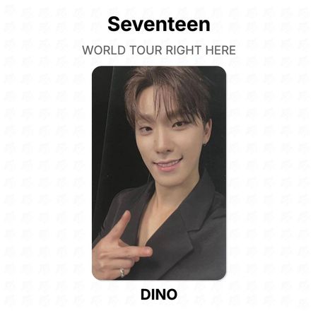 Seventeen WORLD TOUR RIGHT HERE Official Photocard DINO