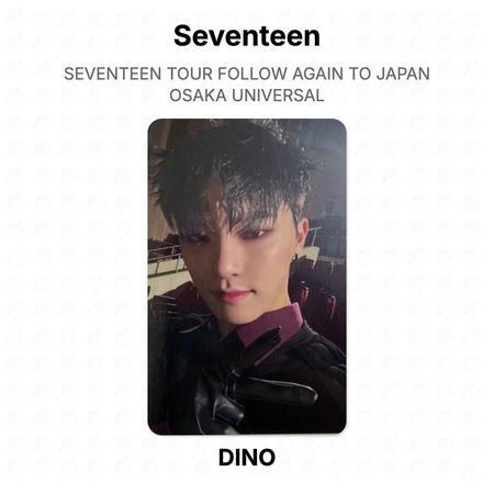 Seventeen ТУР FOLLOW AGAIN В ЯПОНИЮ ОСАКА UNIVERSAL Официальная фотокарточка DINO