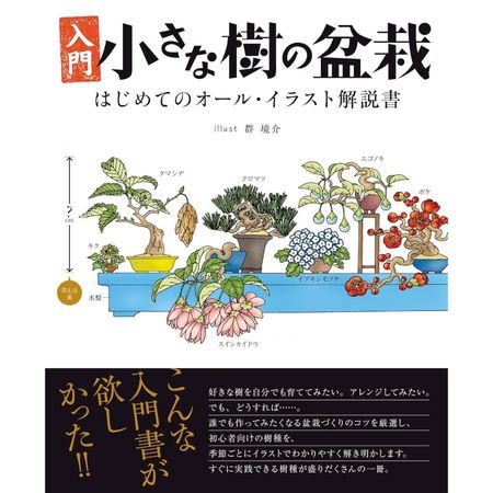 Introduction Small Tree Bonsai