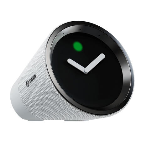 Sber SBDV-00026W